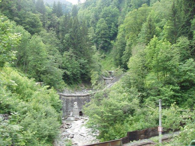 P5300536.JPG