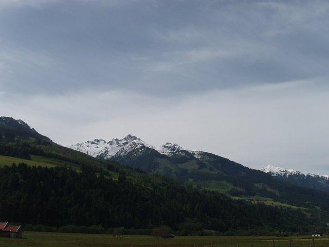 P5310543.JPG