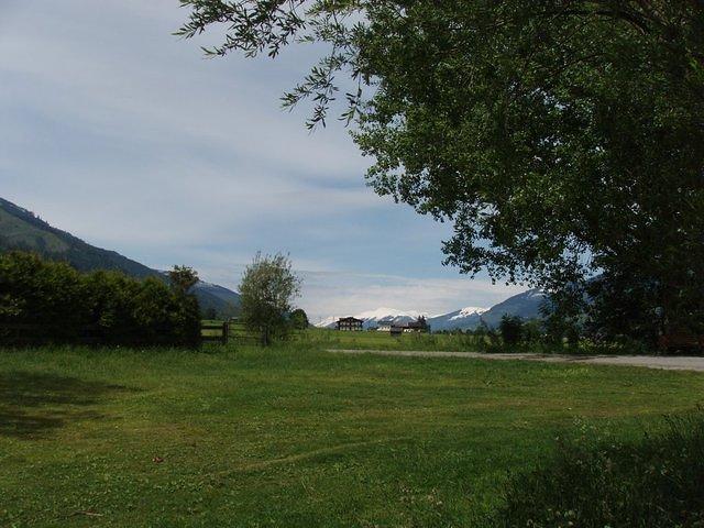 P5310544.JPG
