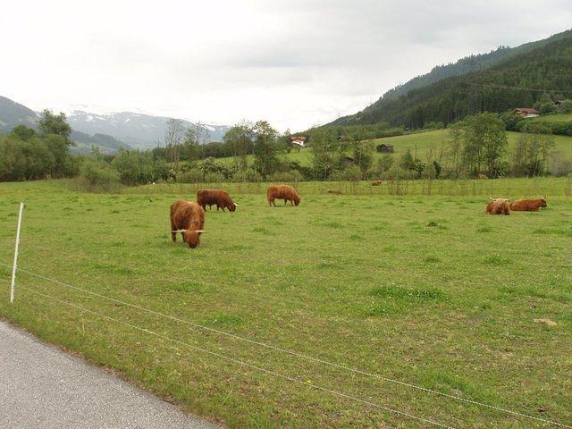 P5310549.JPG