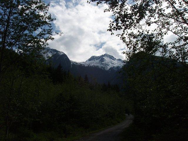 P5310551.JPG