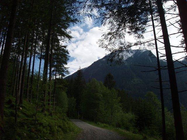 P5310553.JPG