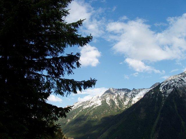 P5310574.JPG