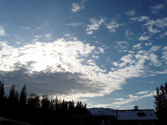 P5310583.JPG