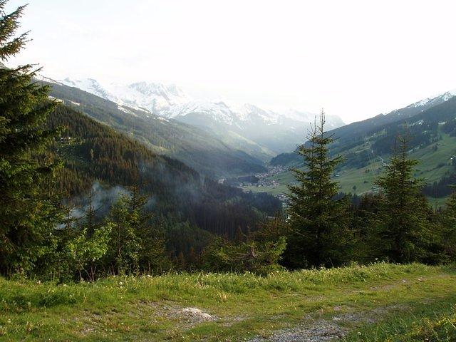 P5310595.JPG