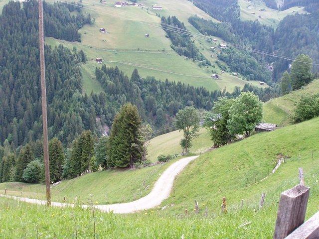 P6190600.JPG
