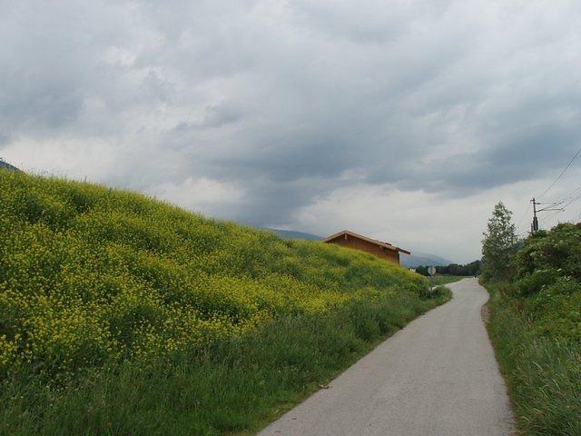 P6190616.JPG