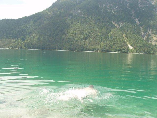 P6210679.JPG