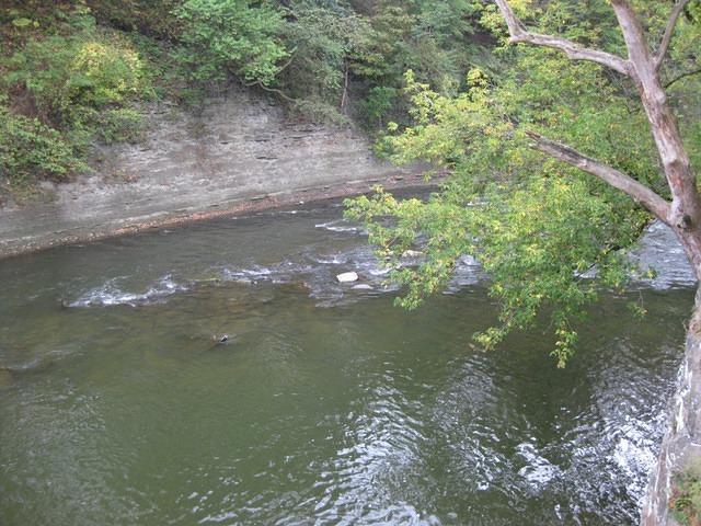 IMG_0051.JPG