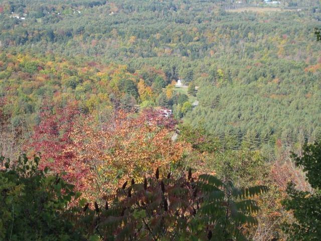 IMG_0129.JPG