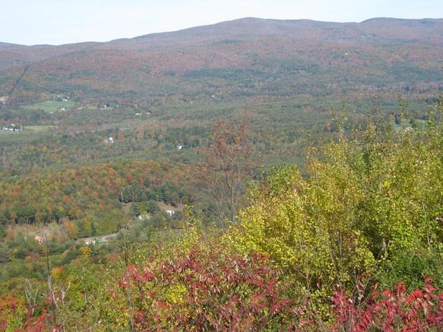 IMG_0134.JPG
