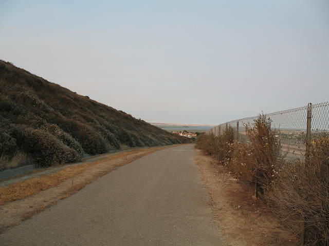 IMG_0919.JPG