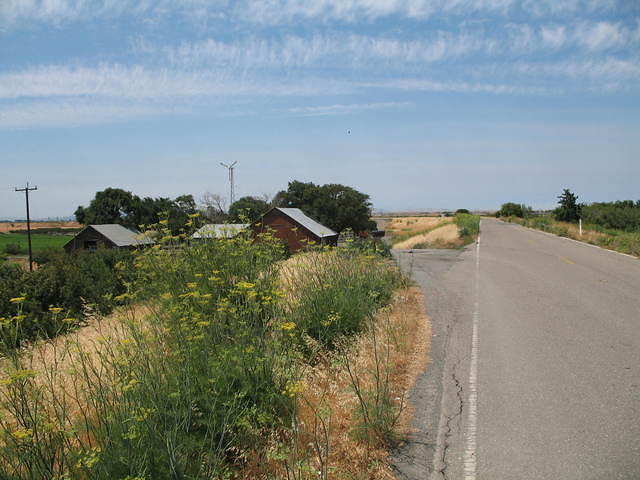 IMG_0941.JPG