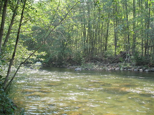 IMG_0997.JPG