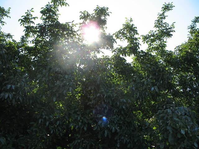 IMG_1013.JPG