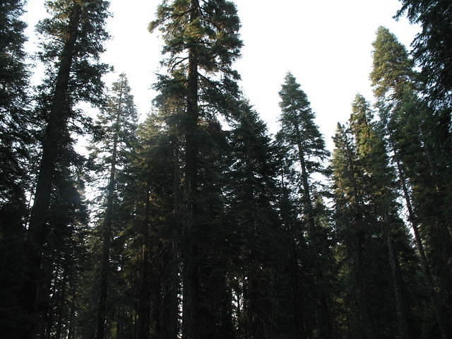 IMG_1059.JPG