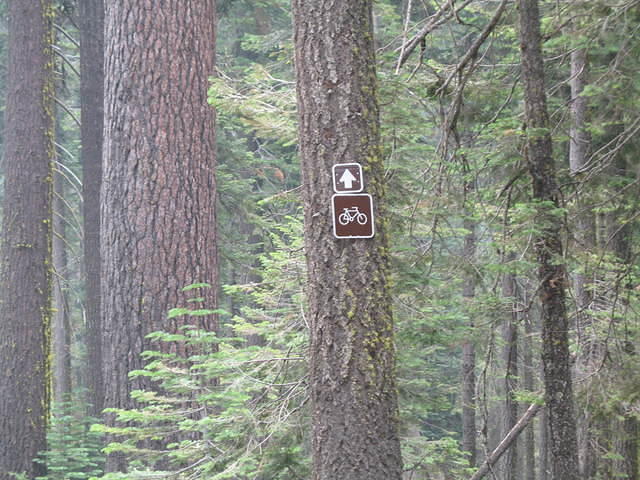 IMG_1072.JPG