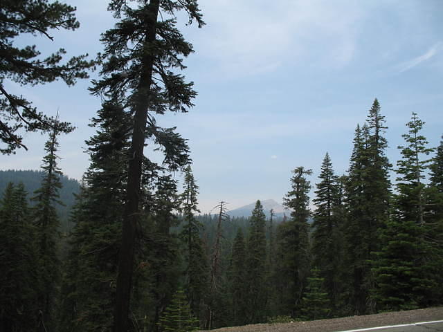 IMG_1076.JPG