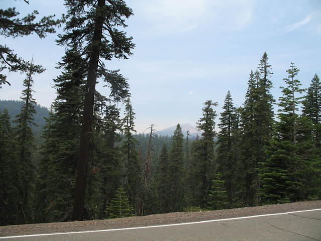 IMG_1077.JPG