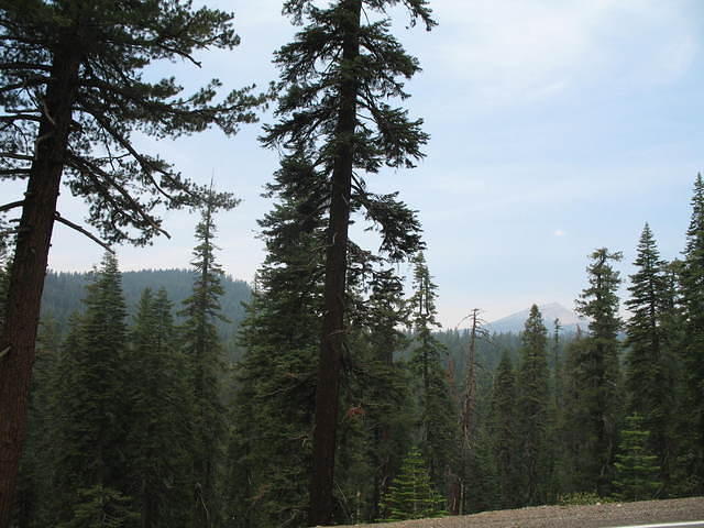 IMG_1078.JPG