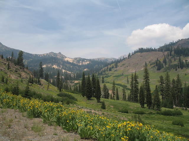 IMG_1086.JPG