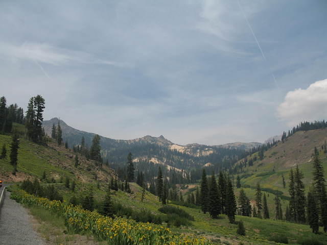 IMG_1087.JPG