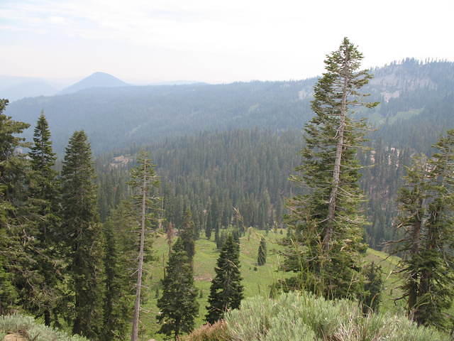 IMG_1105.JPG