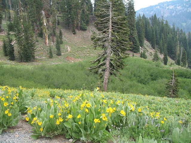 IMG_1107.JPG