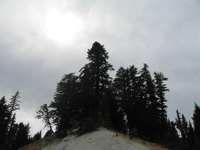 IMG_1120.JPG