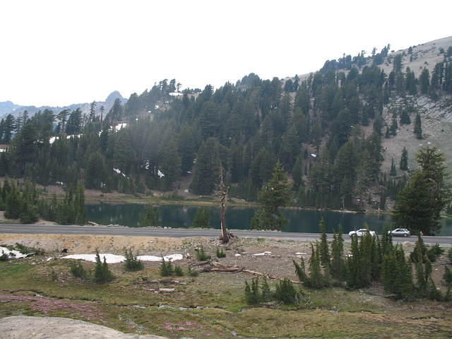 IMG_1130.JPG