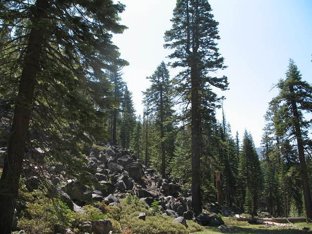 IMG_1151.JPG