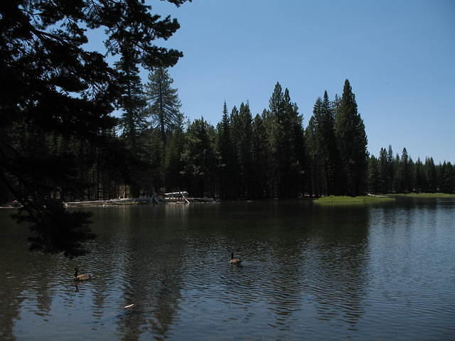 IMG_1160.JPG