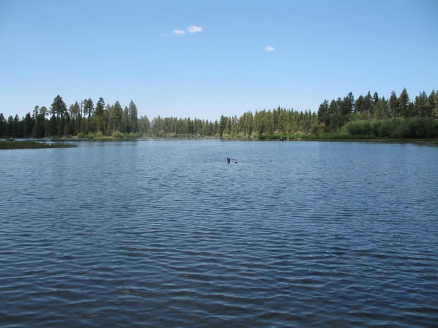 IMG_1163.JPG