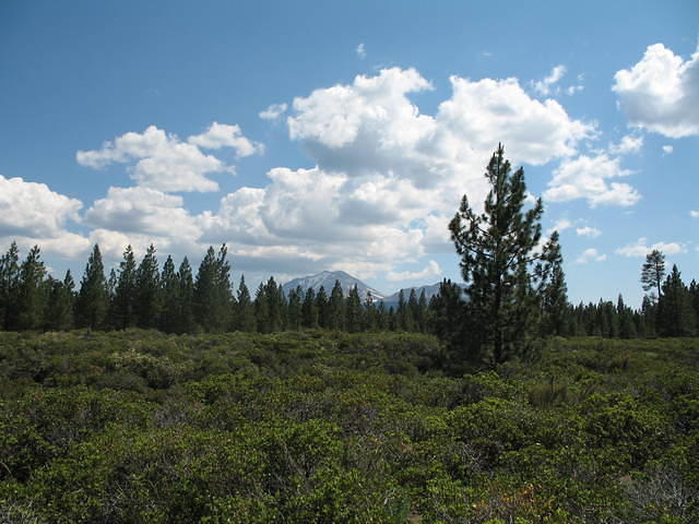 IMG_1176.JPG