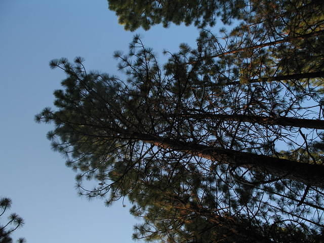 IMG_1191.JPG