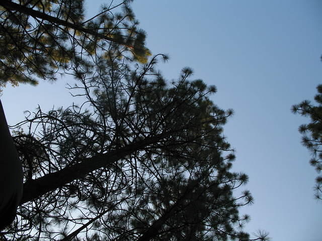 IMG_1192.JPG