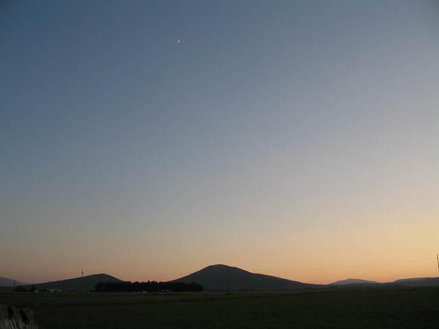 IMG_1223.JPG
