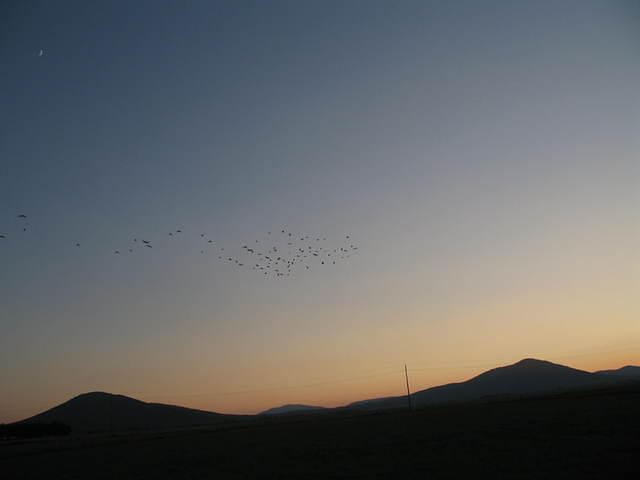 IMG_1228.JPG