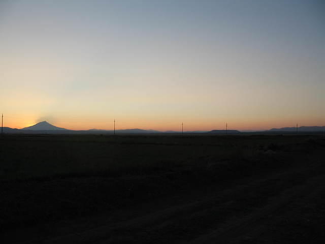 IMG_1229.JPG