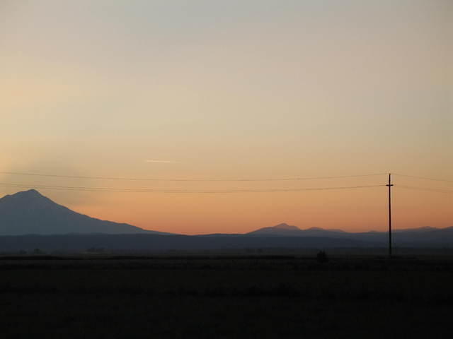 IMG_1230.JPG
