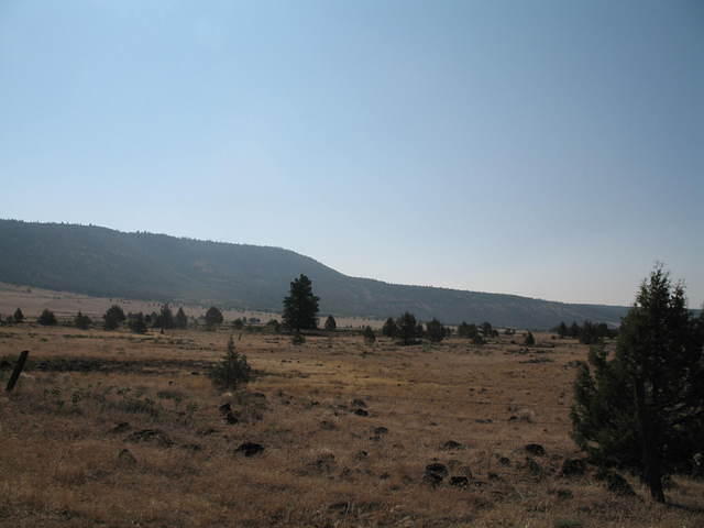 IMG_1241.JPG