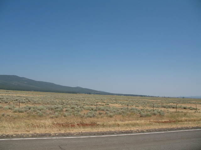 IMG_1251.JPG