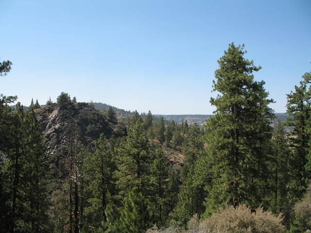 IMG_1280.JPG