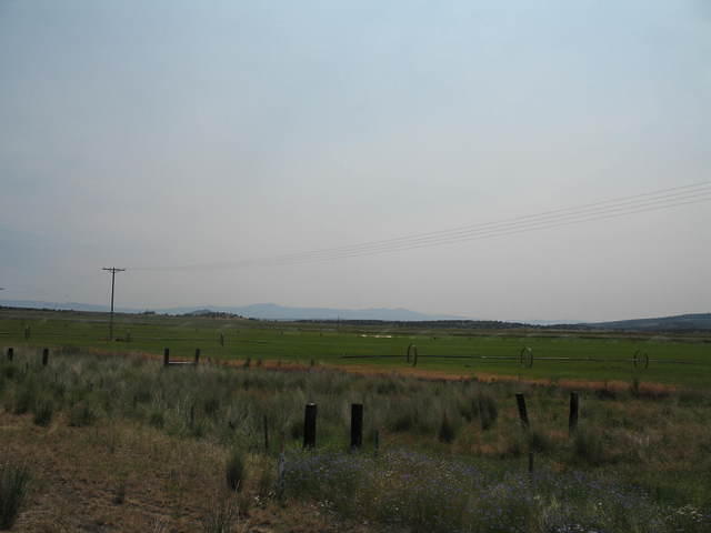 IMG_1290.JPG