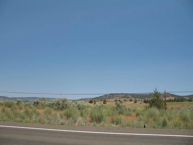 IMG_1292.JPG