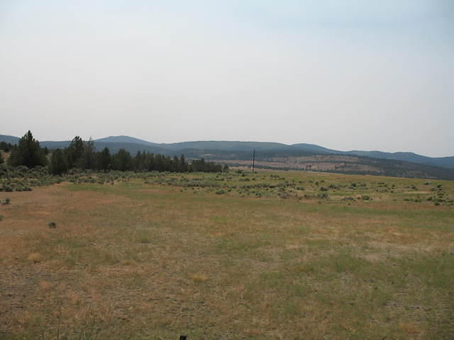 IMG_1294.JPG