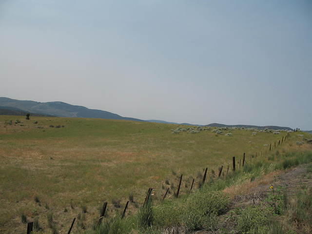 IMG_1295.JPG