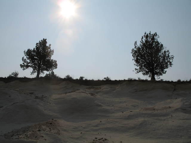 IMG_1305.JPG