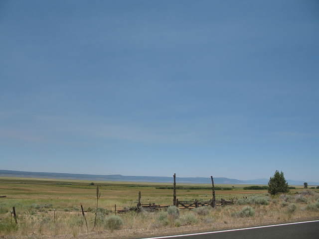 IMG_1320.JPG