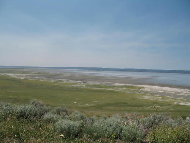 IMG_1325.JPG